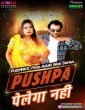 Pushpa Pelega Nahi (2025) Season 1 MoodX Hindi Hot Web Series