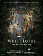 The White Lotus (2025) Season 3 Hindi Web Series